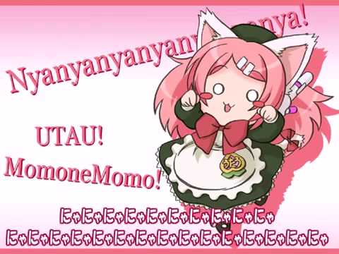 momo nyan cat meme